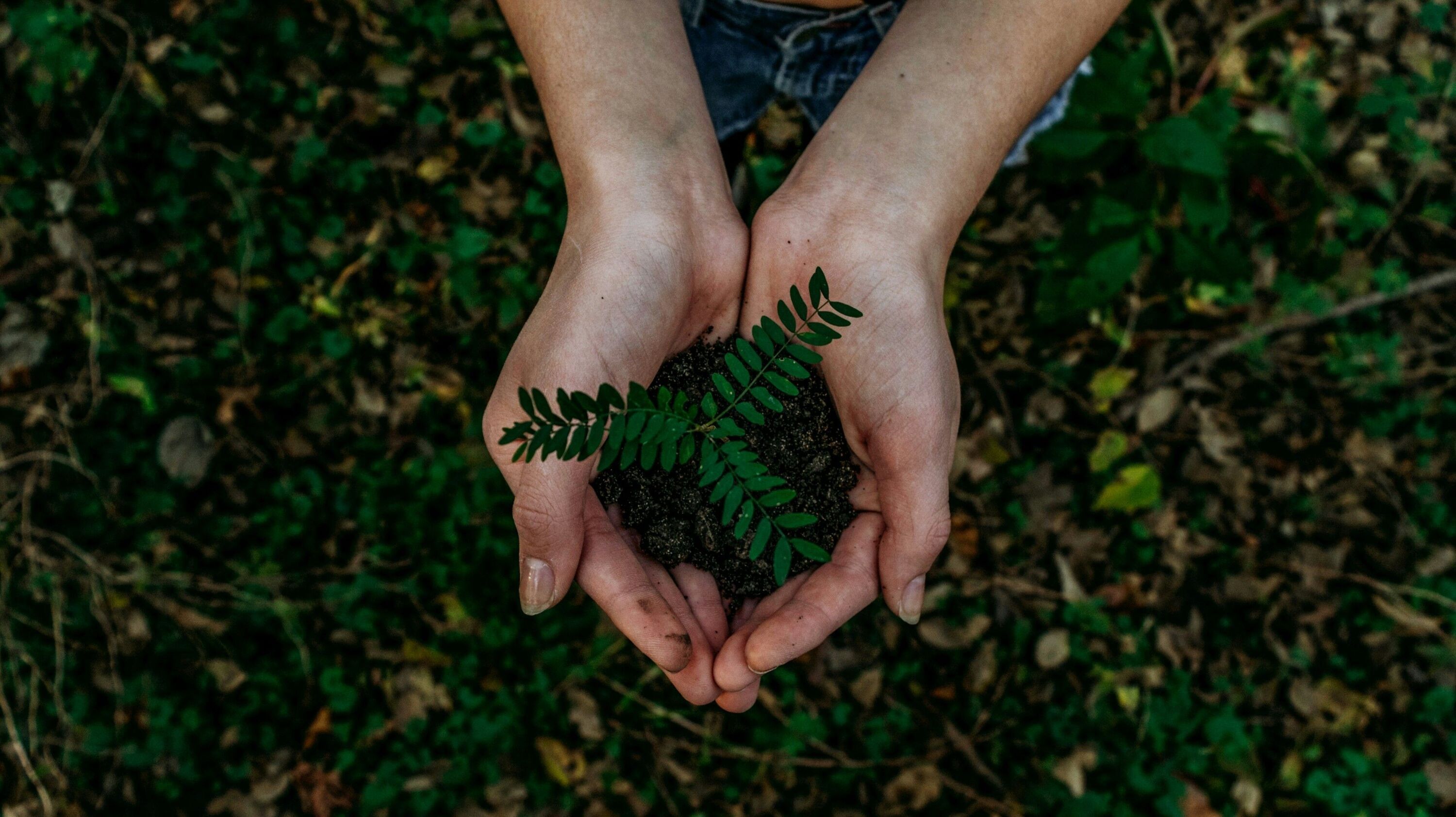 social en ecologische waarden