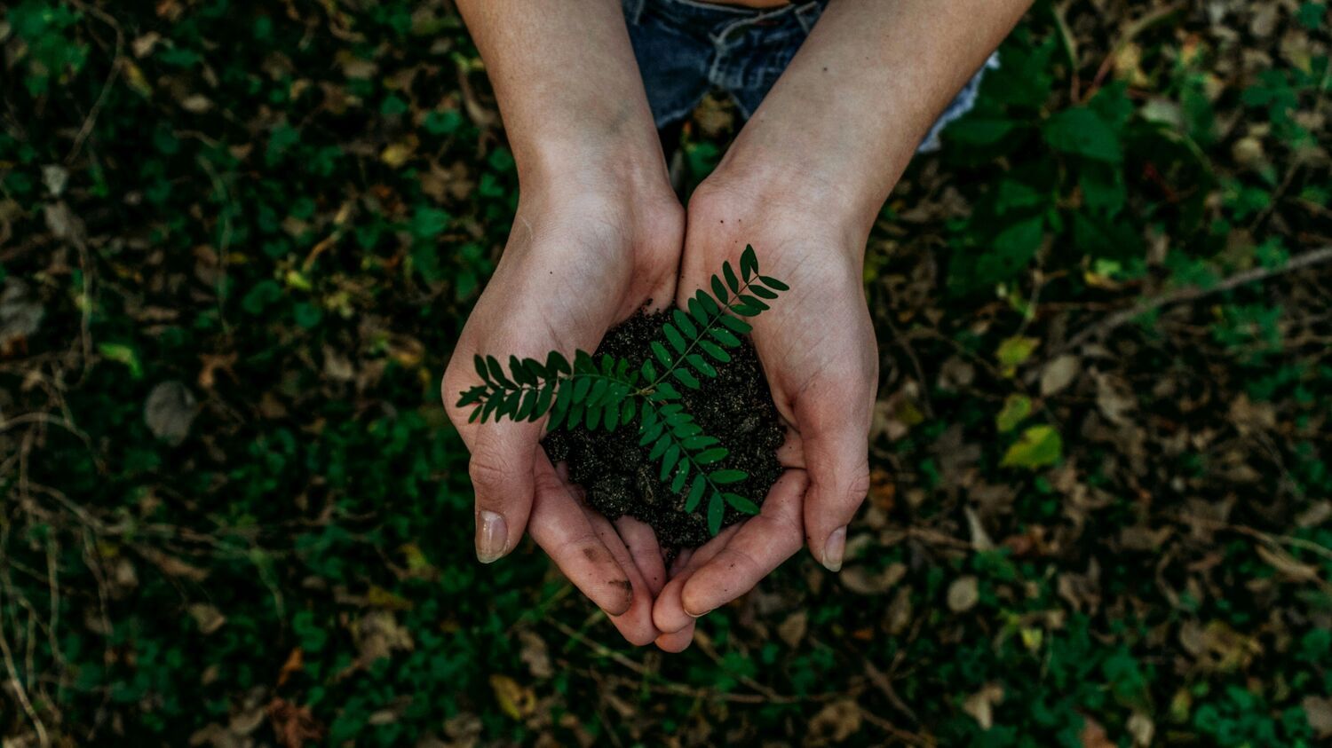 social en ecologische waarden