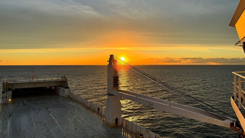 MF Shipping Group platform