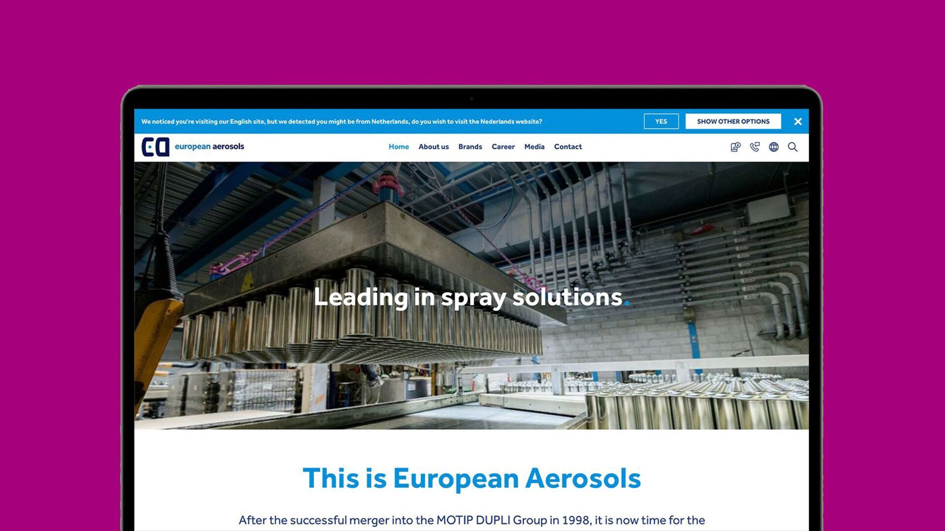Language selector European Aerosols