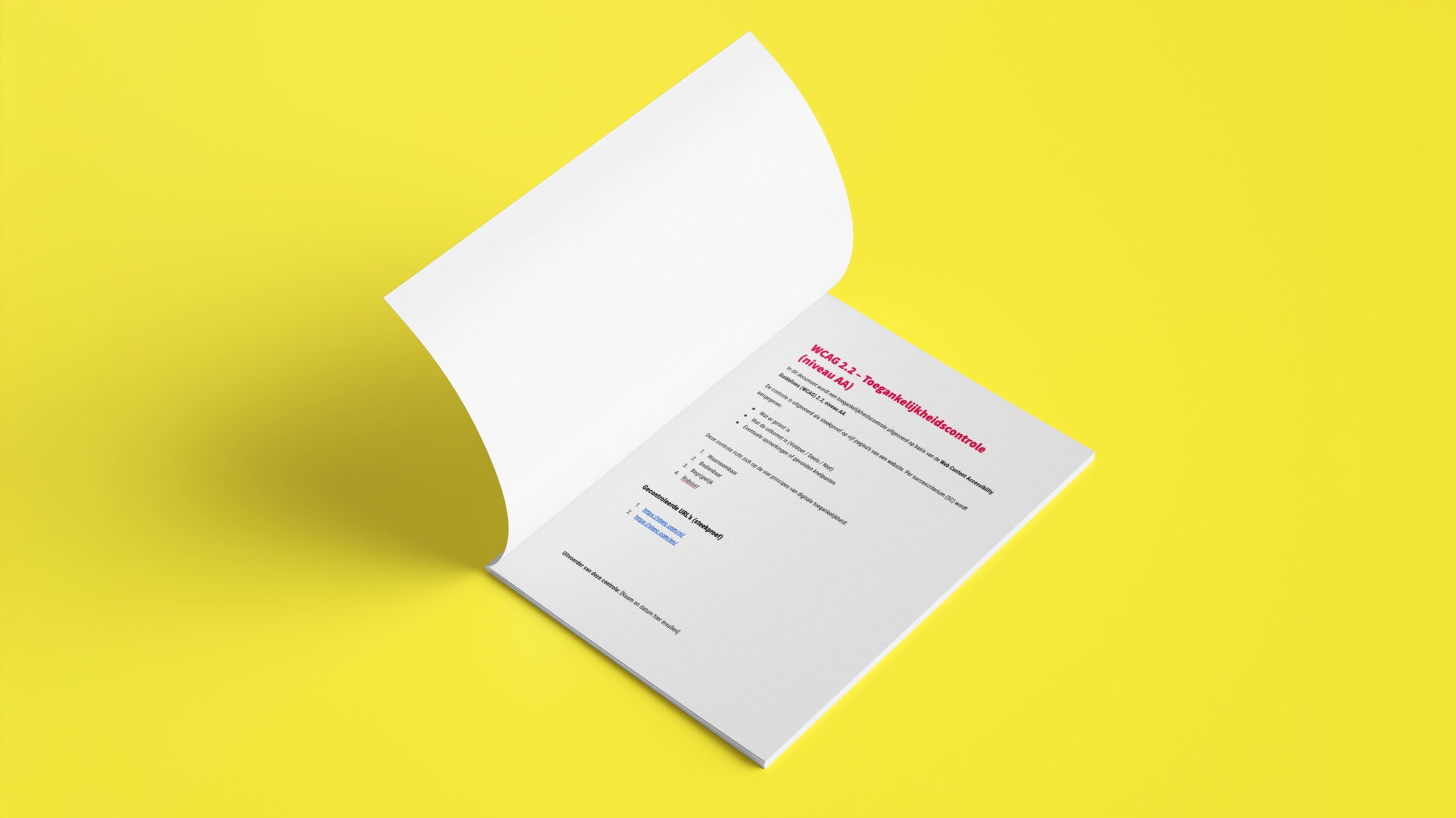 WCAG audit rapport