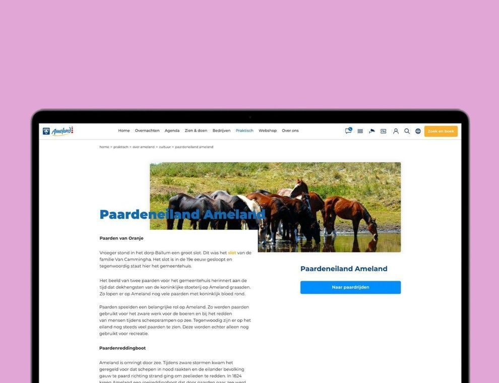 VVV Ameland personalized web pages