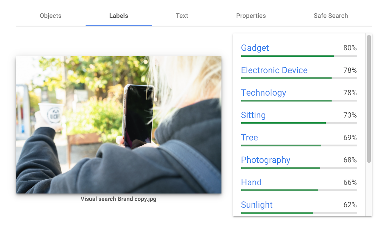 Visual Search Google Vision API